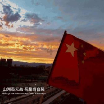 射击红色鸟